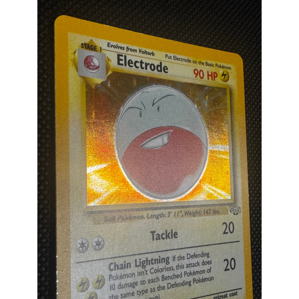 Electrode 2/64 - Jungle