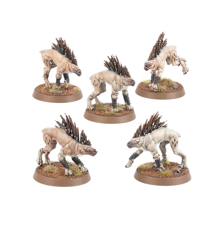T'Au Empire: Kroot Hounds