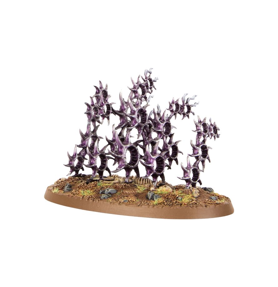 Hedonites of Slaanesh: Regiment of Renown: The Accursed Reflection / PRE-ORDER