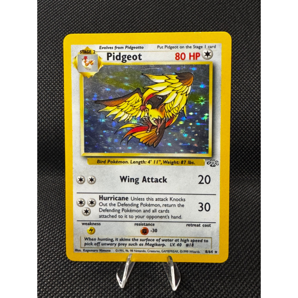 Pidgeot 8/64 - Jungle / Holo