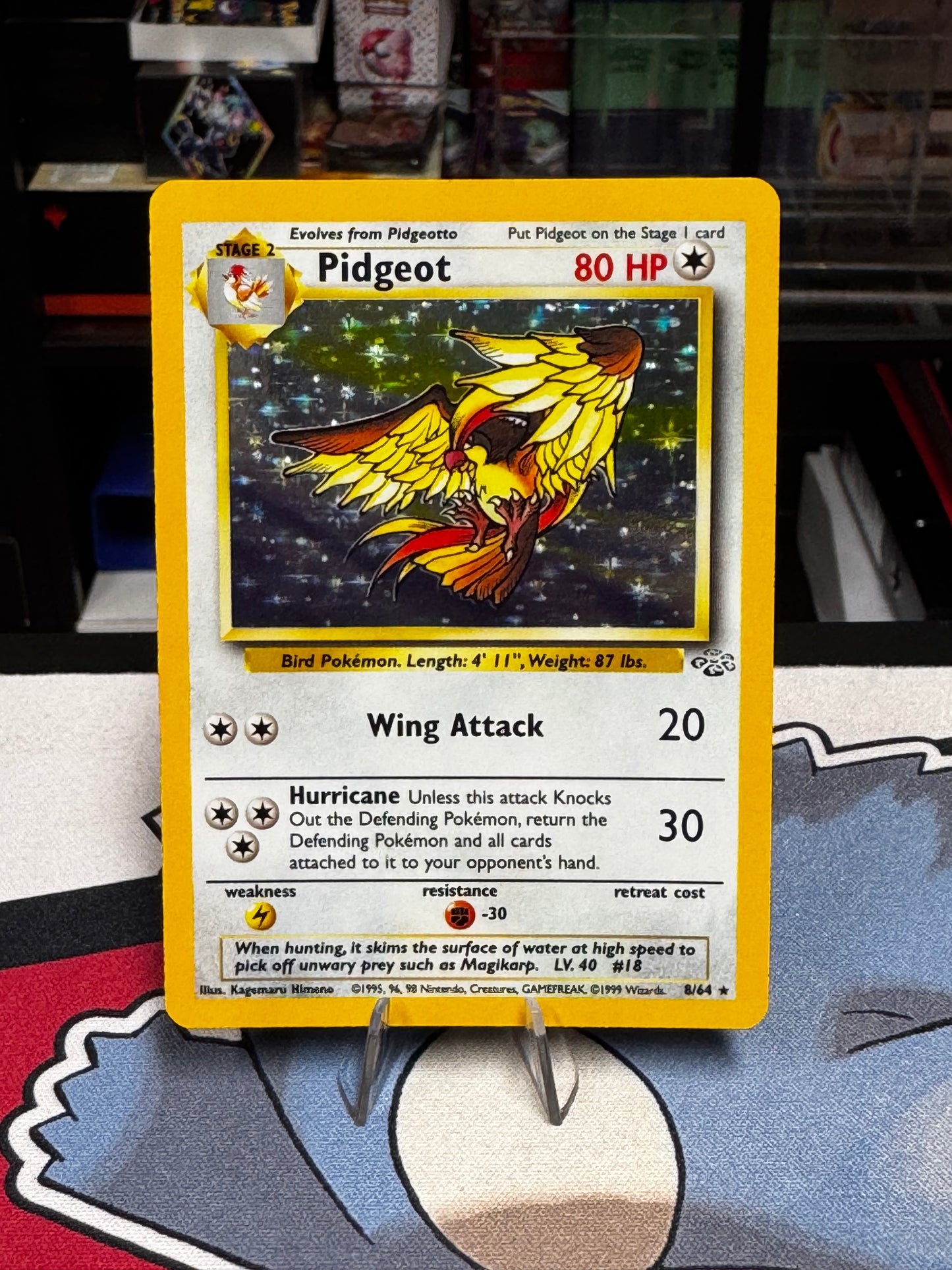 Pidgeot 8/64 - Jungle / Holo